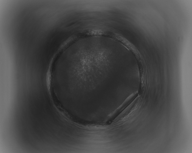 X0000100750722200806261543