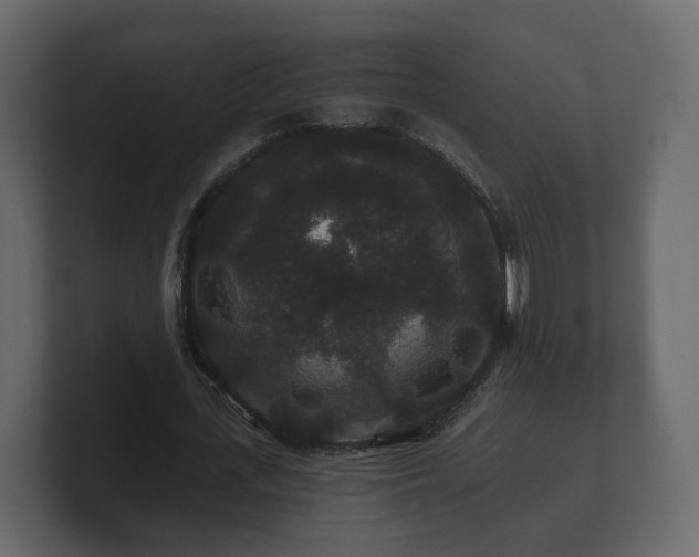 X0000100750723200806261543