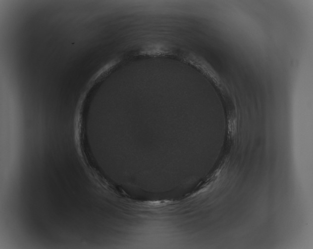 X0000100750724200806261543