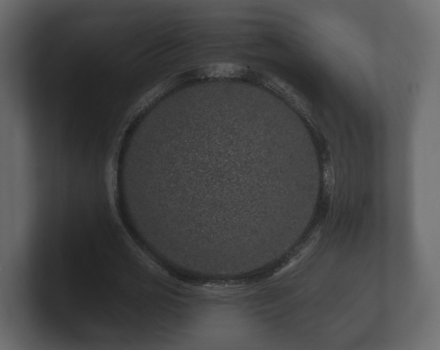 X0000100750725200806261543