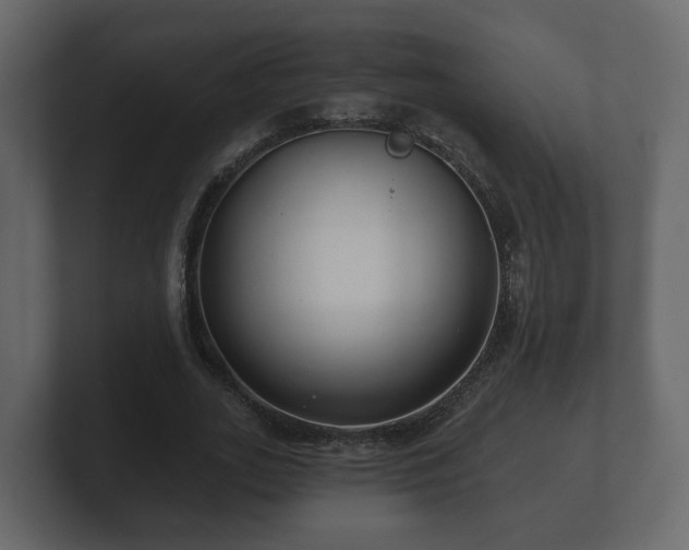 X0000100750727200806261543