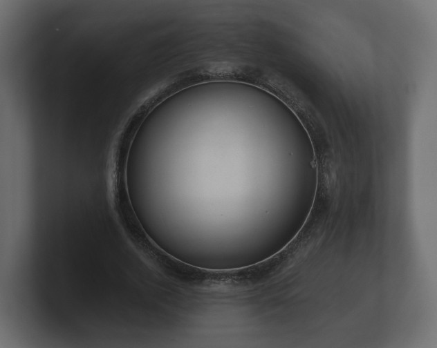 X0000100750728200806261543