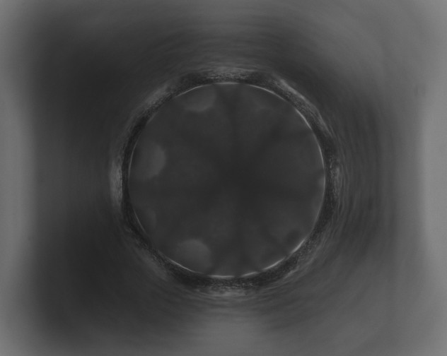 X0000100750729200806261543