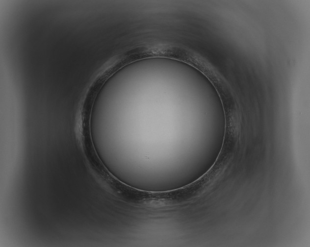 X0000100750730200806261543