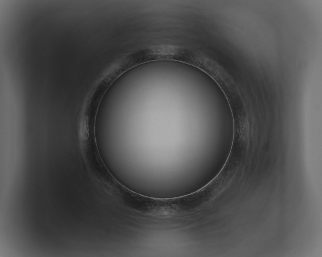 X0000100750731200806261543