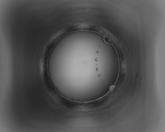 X0000100750732200806261543