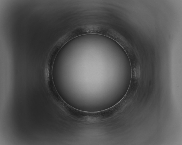 X0000100750733200806261543