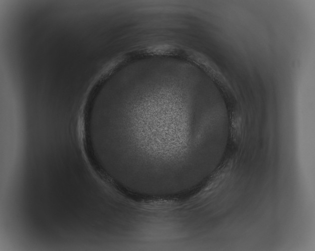 X0000100750734200806261543