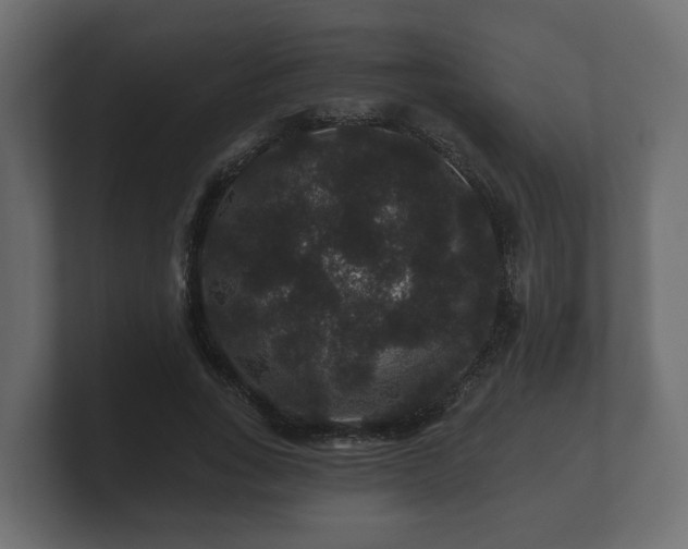 X0000100750735200806261543