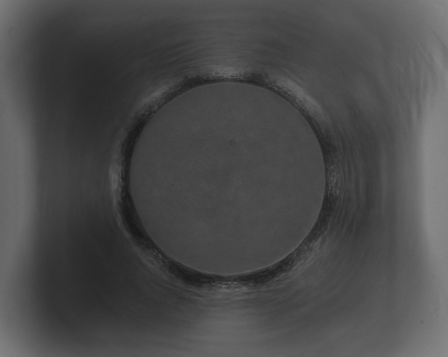 X0000100750736200806261543