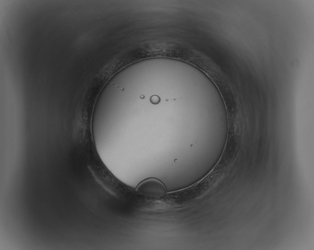 X0000100750737200806261543