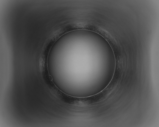 X0000100750739200806261543