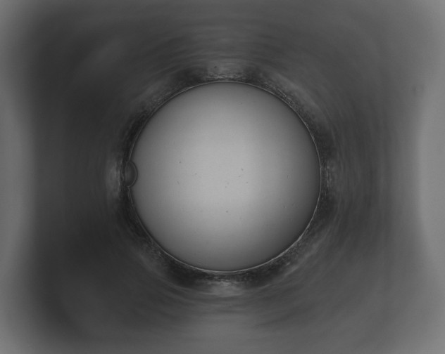 X0000100750741200806261543