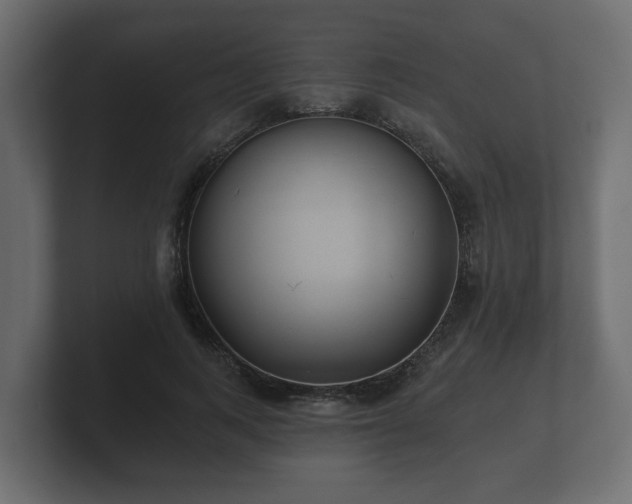 X0000100750743200806261543