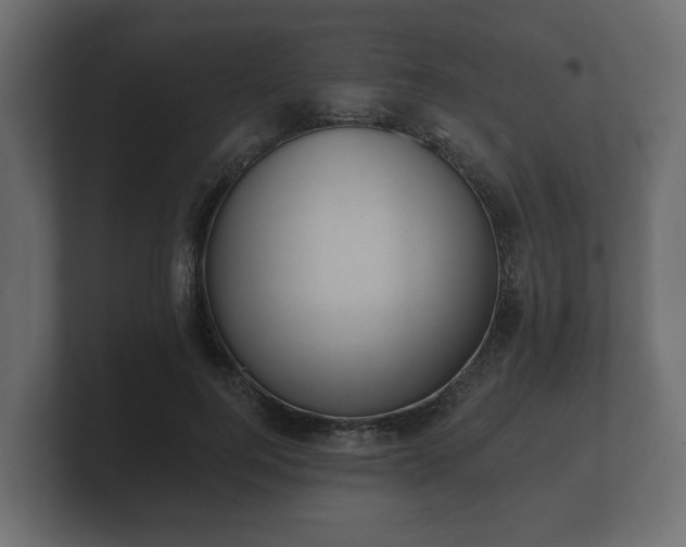 X0000100750744200806261543