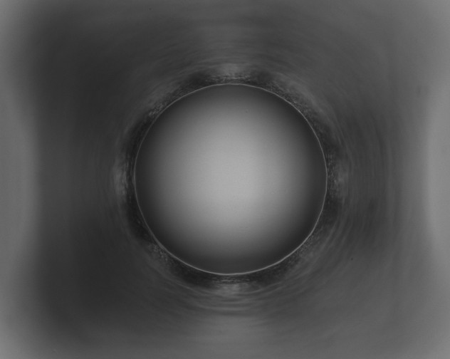 X0000100750746200806261543