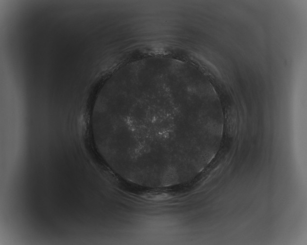 X0000100750747200806261543