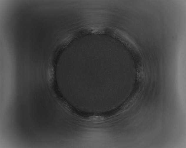 X0000100750748200806261543