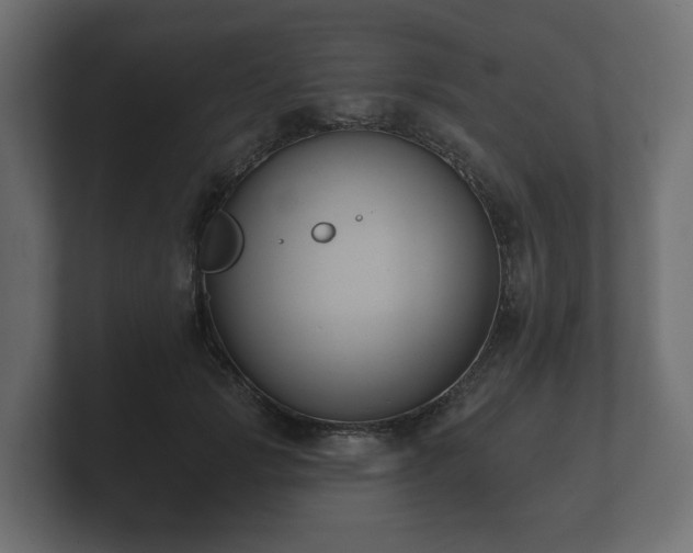 X0000100750749200806261543