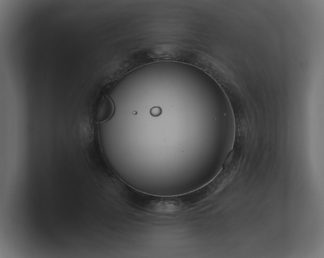 X0000100750751200806261543