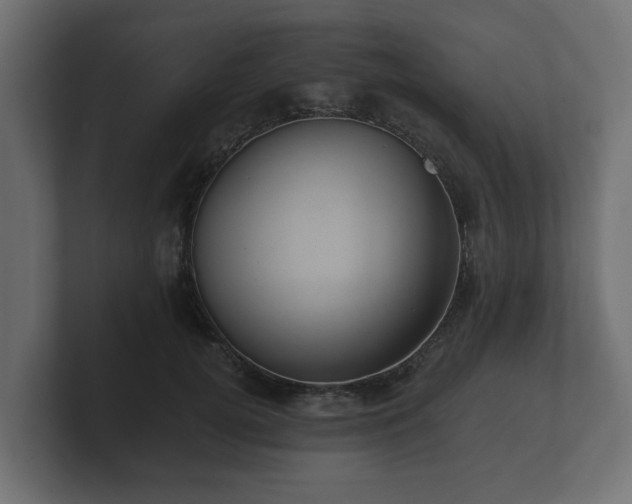 X0000100750752200806261543