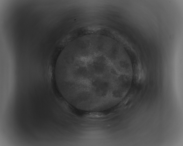 X0000100750758200806261543