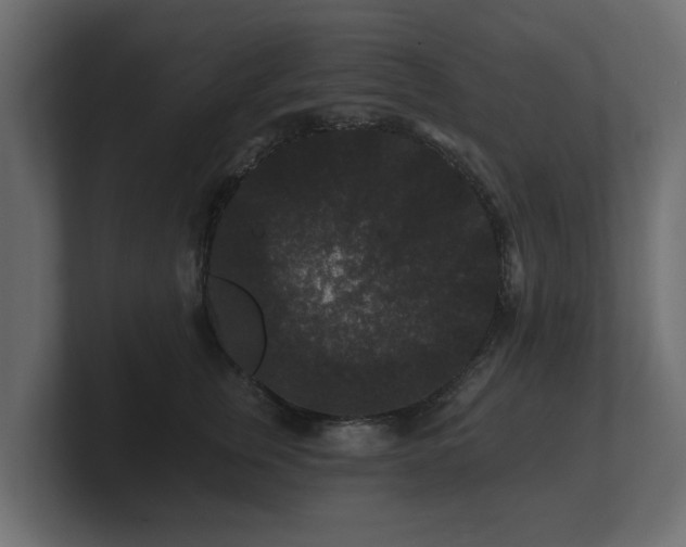 X0000100750759200806261543