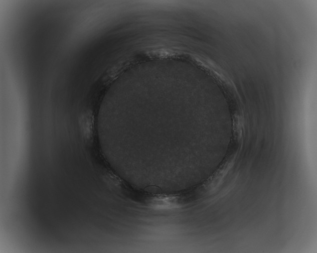 X0000100750760200806261543