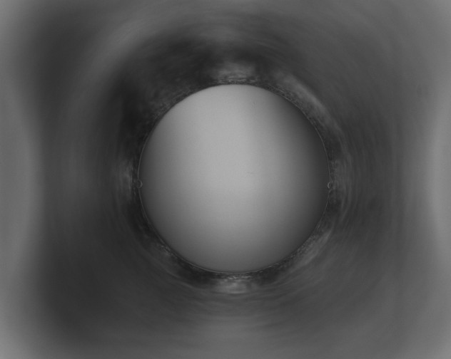 X0000100750761200806261544