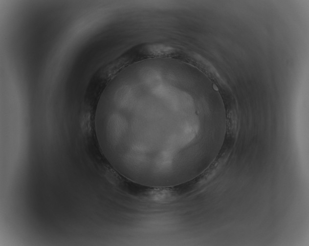 X0000100750762200806261544