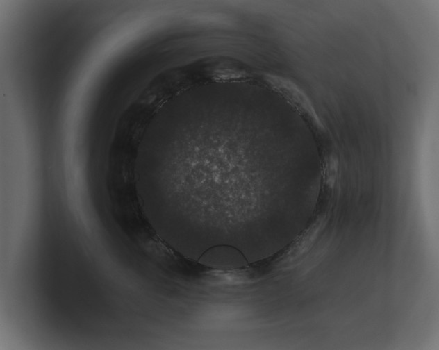 X0000100750763200806261544