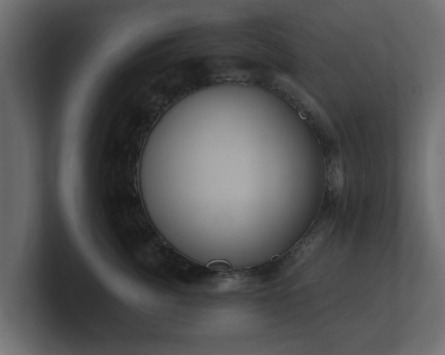 X0000100750764200806261544