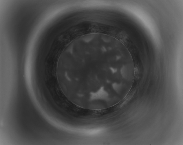 X0000100750765200806261544