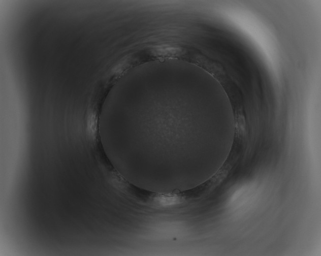 X0000100750767200806261544