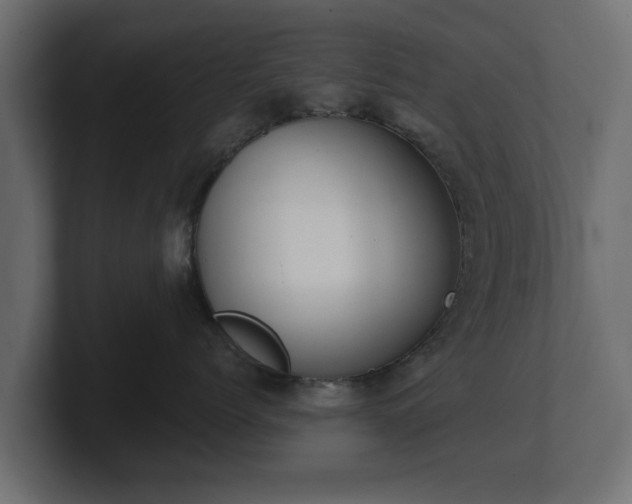 X0000100750768200806261544