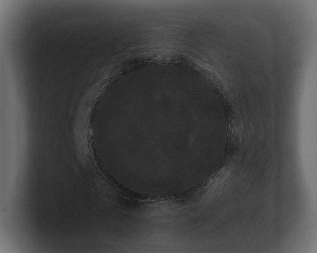 X0000100750769200806261543