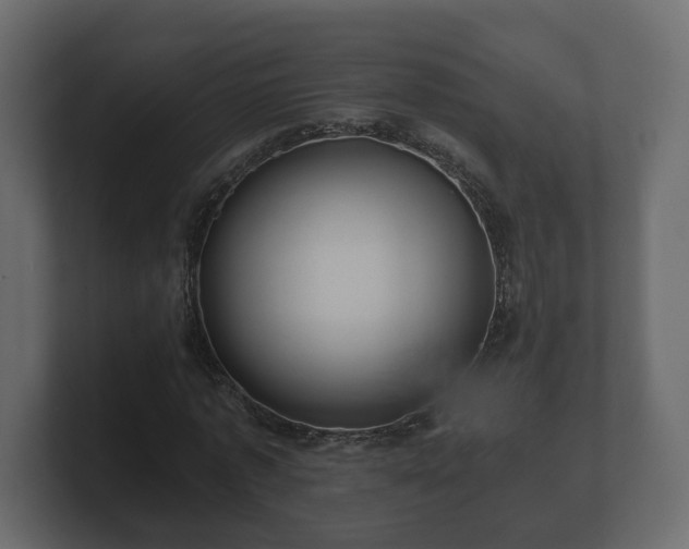 X0000100750773200806261543