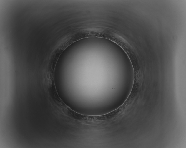 X0000100750774200806261543