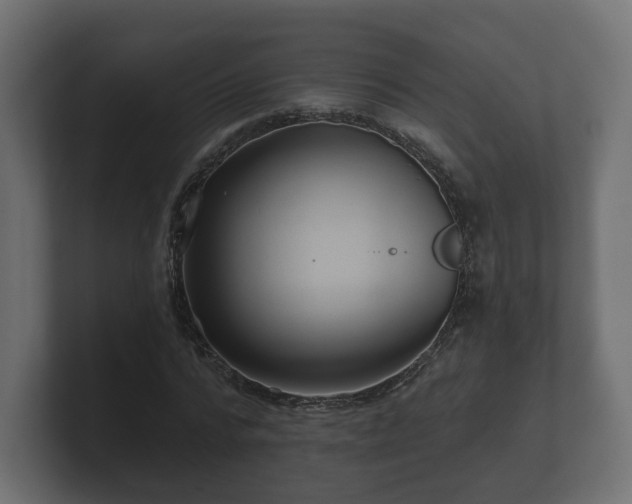 X0000100750776200806261543