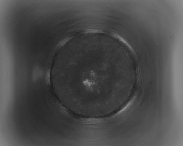 X0000100750777200806261543