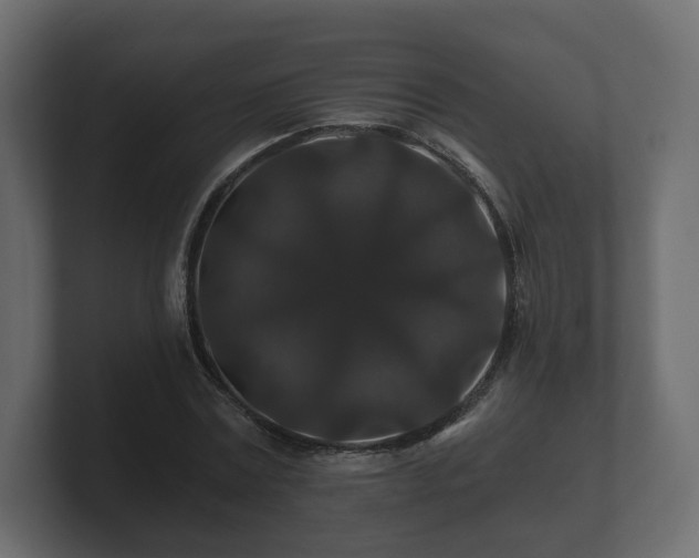 X0000100750779200806261543