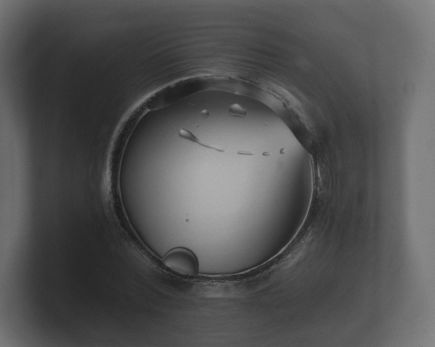 X0000100750780200806261543