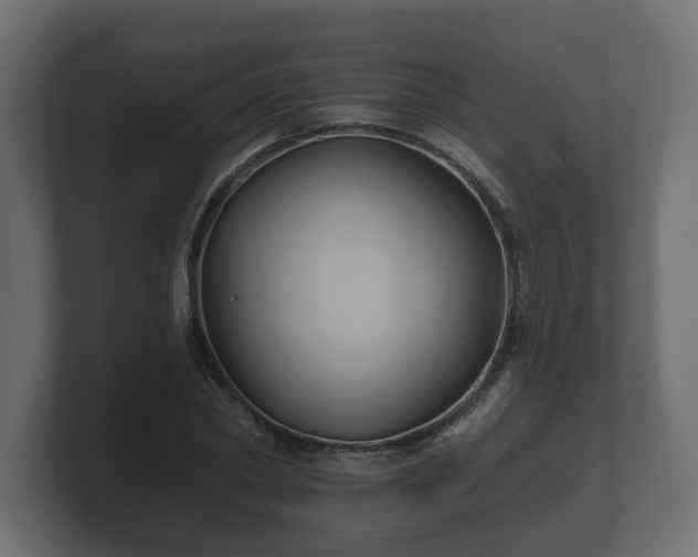 X0000100750782200806261543