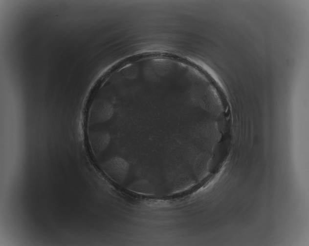 X0000100750783200806261543