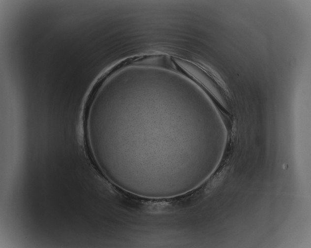 X0000100750784200806261543