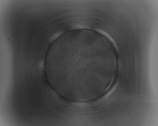 X0000100750785200806261543