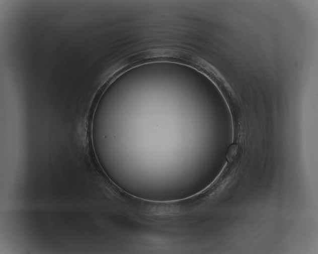 X0000100750786200806261543