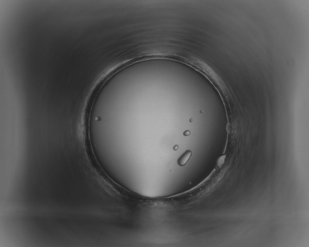 X0000100750787200806261543