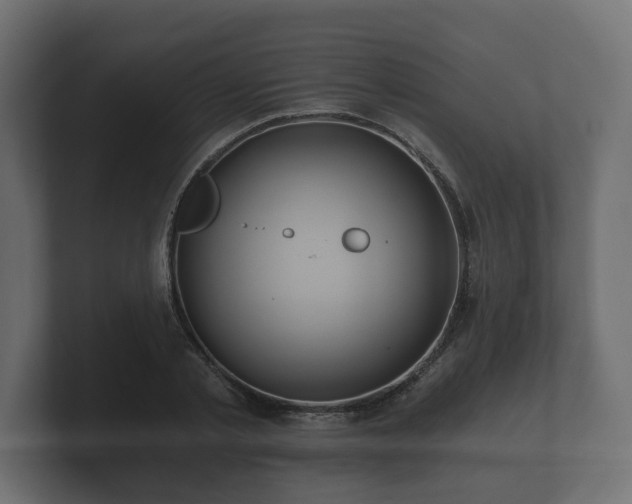 X0000100750789200806261543