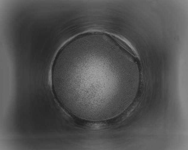 X0000100750791200806261543